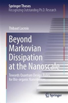 Thibaut Lacroix - Beyond Markovian Dissipation at the Nanoscale