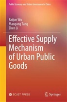 Zhen Li, Maogang Tang, Baijun Wu - Effective Supply Mechanism of Urban Public Goods