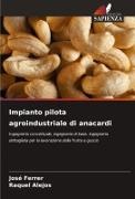 Raquel Alejos, José Ferrer - Impianto pilota agroindustriale di anacardi Ingegneria concettuale, ingegneria di base, ingegneria dettagliata per la lavorazione della frutta a guscio