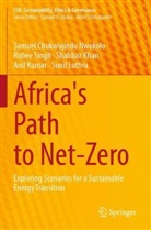 Shahbaz Khan, Anil Kumar, Sunil Luthra, Samuel Chukwujindu Nwokolo, Rubee Singh - Africa's Path to Net-Zero