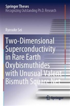 Ryosuke Sei - Two-Dimensional Superconductivity in Rare Earth Oxybismuthides with Unusual Valent Bismuth Square Net