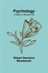 Robert Sessions Woodworth - Psychology