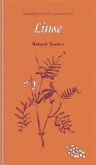 Roland Tauber - Linse