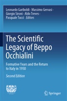 Leonardo Gariboldi, Massimo Gervasi, Giorgio Sironi, Aldo Treves, Pasquale Tucci - The Scientific Legacy of Beppo Occhialini