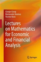Giorgio Giorgi, Bienvenido Jiménez, Vicente Novo - Lectures on Mathematics for Economic and Financial Analysis