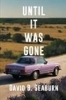 David B Seaburn, David B. Seaburn - Until It Was Gone