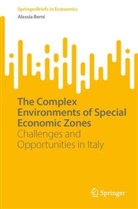 Alessia Berni - The Complex Environments of Special Economic Zones