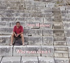Peter Blaikner - Wos woas denn i, 1 Audio-CD (Hörbuch)