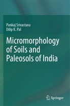 Dilip K Pal, Dilip K. Pal, Pankaj Srivastava - Micromorphology of Soils and Paleosols of India