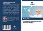 Khaled Lotfy - Prostatakrebsbehandlung, Insilico-Ansatz
