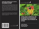 Bandna Dhiman, Sneh Sharma, Vivek Sharma - FIDELIDAD GENÉTICA DE PLANTAS DE GLORIOSA SUPERBA CULTIVADAS IN VITRO
