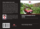 Flavio Henrique Mendes - Arbres tombant de la route