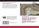Eduardo Cerecedo Sáenz, Juan Hernández Ávila, Eleazar Salinas Rodríguez - Potencial de minerales no metálicos del Estado de Hidalgo, México