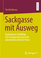 Tim Breitkreuz - Sackgasse mit Ausweg