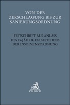 Gerrit Hölzle, Thole, Christoph Thole - Von der Zerschlagung bis zur Sanierungsordnung