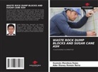 Guzmán Mendoza Rojas, Ader Disney Román Neira - WASTE ROCK DUMP BLOCKS AND SUGAR CANE ASH