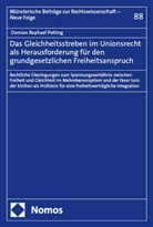 Damian Raphael Patting - Das Gleichheitsstreben im Unionsrecht als Herausforderung für den grundgesetzlichen Freiheitsanspruch