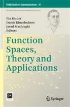 Ilia Binder, Damir Kinzebulatov, Javad Mashreghi - Function Spaces, Theory and Applications