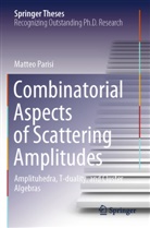 Matteo Parisi - Combinatorial Aspects of Scattering Amplitudes