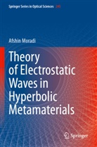 Afshin Moradi - Theory of Electrostatic Waves in Hyperbolic Metamaterials