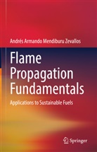 Andrés Armando Mendiburu Zevallos - Flame Propagation Fundamentals