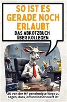 Anna Schäfer - So ist es gerade noch erlaubt - 30 von der HR genehmigte Wege zu sagen, dass jemand bescheuert ist