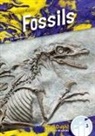 Julie Murray - Fossils