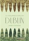 James Stephens - La insurrección en Dublín