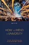 Ian M Kinchin, Ian M. Kinchin - How to Mend a University