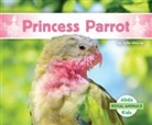 Julie Murray - Princess Parrot