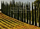 Judith Goodman, Goodman Judith, Frank van Riper, Van Riper Frank - The Green Heart of Italy