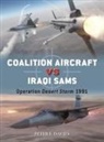 Peter E Davies, Peter E. Davies, Gareth Hector, Hector Gareth, Jim Laurier, Laurier Jim - Coalition Aircraft vs Iraqi SAMs