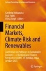 Sandeep Mohapatra, Puja Padhi, Vijeta Singh - Financial Markets, Climate Risk and Renewables
