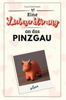 Luca Hartmann - Eine Liebeserklärung an das Pinzgau - Die große Hommage - das perfekte Geschenk für Weihnachten und Geburtstag und jeden Anlass