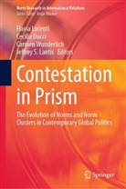 Cecilia Ducci, Jeffrey S. Lantis, Flavia Lucenti, Carmen Wunderlich, Carmen Wunderlich et al - Contestation in Prism