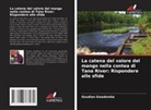 Goudian Gwademba - La catena del valore del mango nella contea di Tana River: Rispondere alle sfide