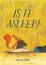 Olivier Tallec, Olivier Tallec - Is it Asleep?