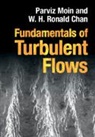 W. H. Ronald Chan, Parviz (Stanford University Moin, Moin Parviz - Fundamentals of Turbulent Flows