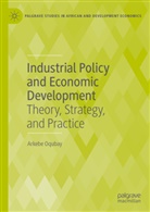 Arkebe Oqubay - Industrial Policy and Economic Development