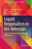 Reg Nitsch Bressan, Regiane Nitsch Bressan, Karina L Pasquariello Mariano, Karina L. Pasquariello Mariano, Bruno Theodoro Luciano - Liquid Regionalism in the Americas