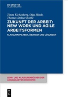 Timm Eichenberg, Olga Hördt, Thomas Stelzer-Rothe - Zukunft der Arbeit: New Work und agile Arbeitsformen