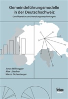 Marco Eichenberger, Alex Lötscher, Willisegger, Jonas Willisegger - Gemeindeführungsmodelle in der Deutschschweiz