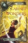 Marie Rutkoski - Cabinet of Wonders