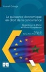 Youssef Oubejja - La puissance économique en droit de la concurrence