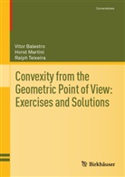 Vitor Balestro, Horst Martini, Ralph Teixeira - Convexity from the Geometric Point of View: Exercises and Solutions