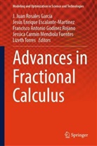 Antonio Godínez, Jesús Enrique Escalante-Martínez, Jesús Enrique Escalante-Martínez, Francisco Antonio Godínez Rojano, Jessica Carmin Mendiola Fuentes, J. Juan Rosales García... - Advances in Fractional Calculus