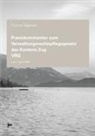 Thomas Sägesser - Praxiskommentar zum Verwaltungsrechtspflegegesetz des Kantons Zug (VRG)