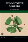 J. William Hoffman, Xiaohong Jia, Haohao Wang - Commutative Algebra