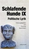 Thomas Bachmann - Schlafende Hunde IX