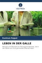 Kumkum Rajput - LEBEN IN DER GALLE